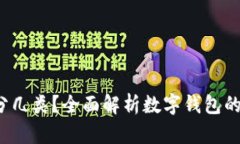  数字钱包分几类？全面解