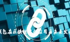: 轻钱包在区块链中的应用