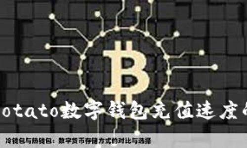 如何提升Potato数字钱包充值速度的有效方法
