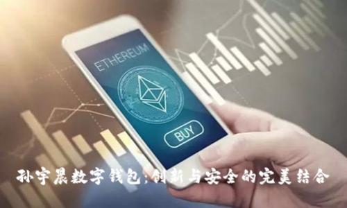 孙宇晨数字钱包：创新与安全的完美结合