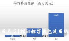 数字钱包中的钱怎么用不