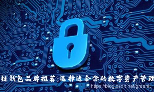 区块链钱包品牌推荐：选择适合你的数字资产管理工具