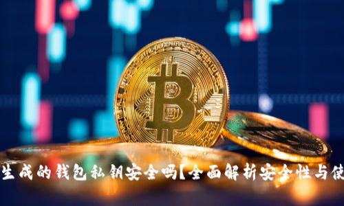 : TPWallet生成的钱包私钥安全吗？全面解析安全性与使用注意事项
