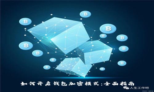 如何开启钱包加密模式：全面指南