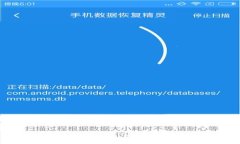 Unlocking the Potential of Plus数字钱包：一站式支付解