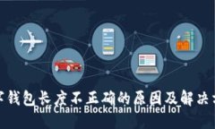 数字钱包长度不正确的原因及解决方案