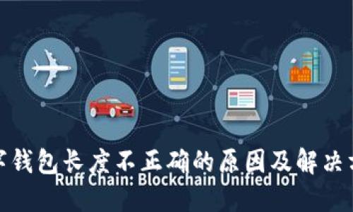 数字钱包长度不正确的原因及解决方案