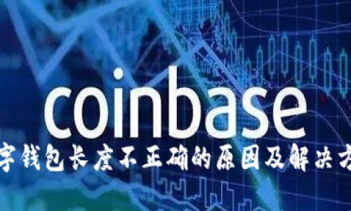 数字钱包长度不正确的原因及解决方案
