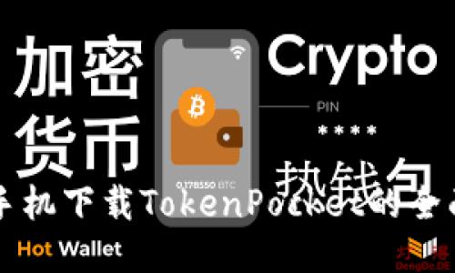 华为手机下载TokenPocket的全面指南