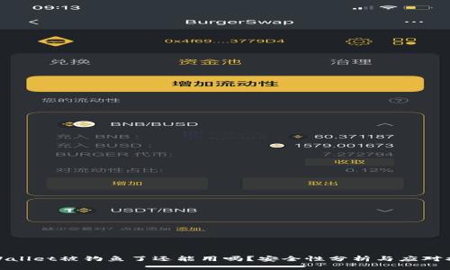 TPWallet被钓鱼了还能用吗？安全性分析与应对措施