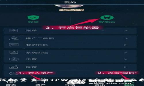 如何批量查询TPWallet余额：全面指南