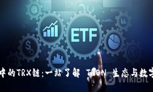 TPWallet中的TRX链：一站了解 TRON 生态与数字资产管理