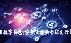 国际通用数字钱包：安全便捷的全球支付解决方