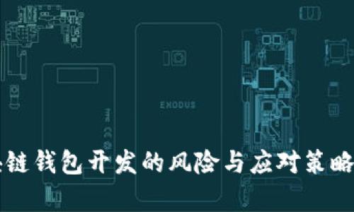 区块链钱包开发的风险与应对策略解析
