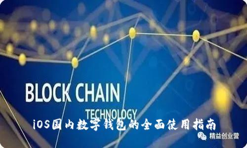 iOS国内数字钱包的全面使用指南