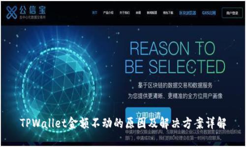 TPWallet金额不动的原因及解决方案详解