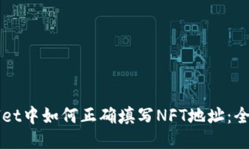 TPWallet中如何正确填写NFT地址：全面指南
