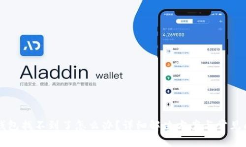 区块链钱包找不到了怎么办？详细解决方案与常见问题解析