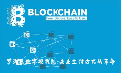 罗湖区数字硬钱包：未来支付方式的革命