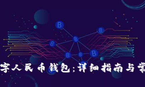 如何登录数字人民币钱包：详细指南与常见问题解析