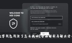 数字钱包钱没了怎么找回