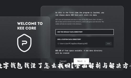 数字钱包钱没了怎么找回？全面解析与解决方案