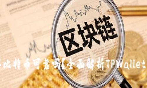 tpwallet买比特币可靠吗？全面解析TPWallet交易安全性