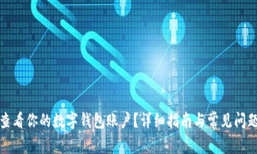 如何查看你的数字钱包账户？详细指南与常见问题解答