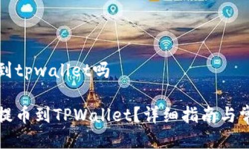 火币能提币到tpwallet吗

如何将火币提币到TPWallet？详细指南与常见问题解析