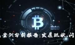 美国数字钱包案例分析报