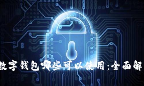 2023年数字钱包哪些可以使用：全面解析与推荐