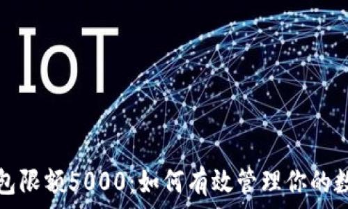   
数字钱包限额5000：如何有效管理你的数字资产