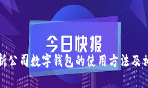 全面解析公司数字钱包的使用方法及相关问题