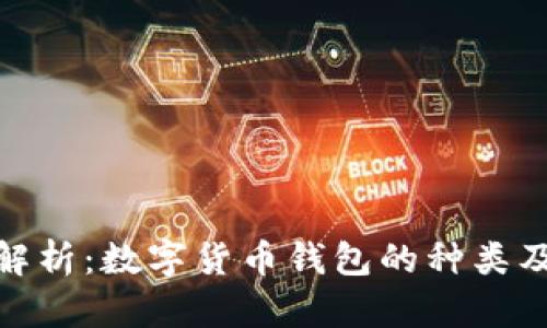 : 全面解析：数字货币钱包的种类及其优势