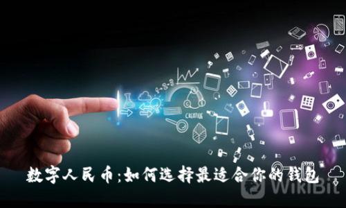数字人民币：如何选择最适合你的钱包