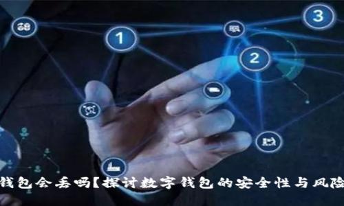 数字钱包会丢吗？探讨数字钱包的安全性与风险管理