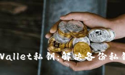 如何安全地恢复TPWallet私钥：解决备份私钥但忘记密码的问题