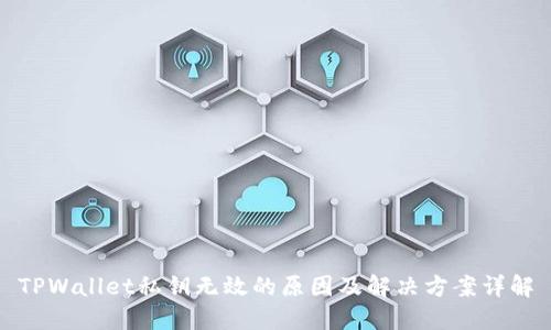 TPWallet私钥无效的原因及解决方案详解