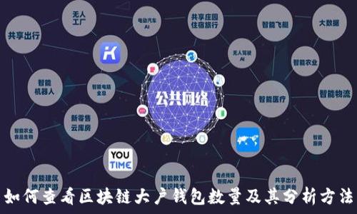   
如何查看区块链大户钱包数量及其分析方法