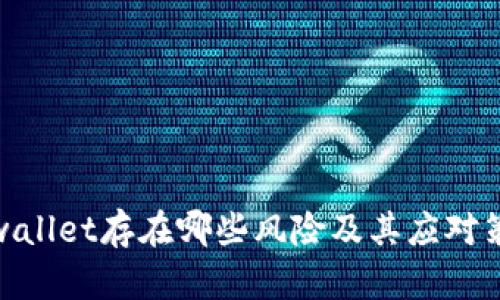 tpwallet存在哪些风险及其应对策略