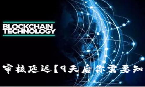 数字钱包审核延迟？9天后你需要知道的一切