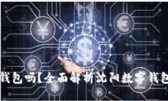 明成沈阳地区能用数字钱