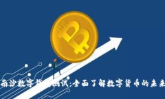 南沙数字钱包测试：全面