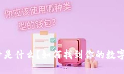 数字钱包号是什么？如何找到你的数字钱包地址？