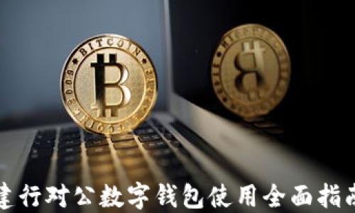 
建行对公数字钱包使用全面指南