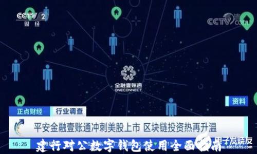 
建行对公数字钱包使用全面指南