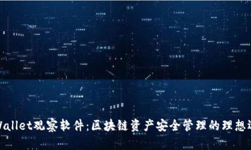 TPWallet观察软件：区块链资产安全管理的理想选择