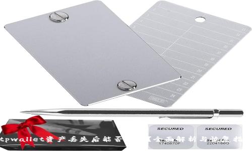 tpwallet资产丢失后能否找回？全面解析与恢复指南