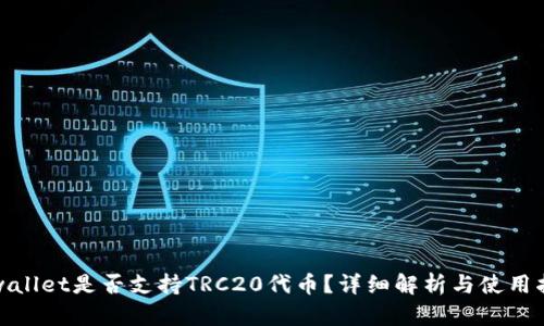 tpwallet是否支持TRC20代币？详细解析与使用指南