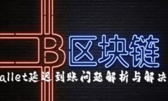 TPWallet延迟到账问题解析与